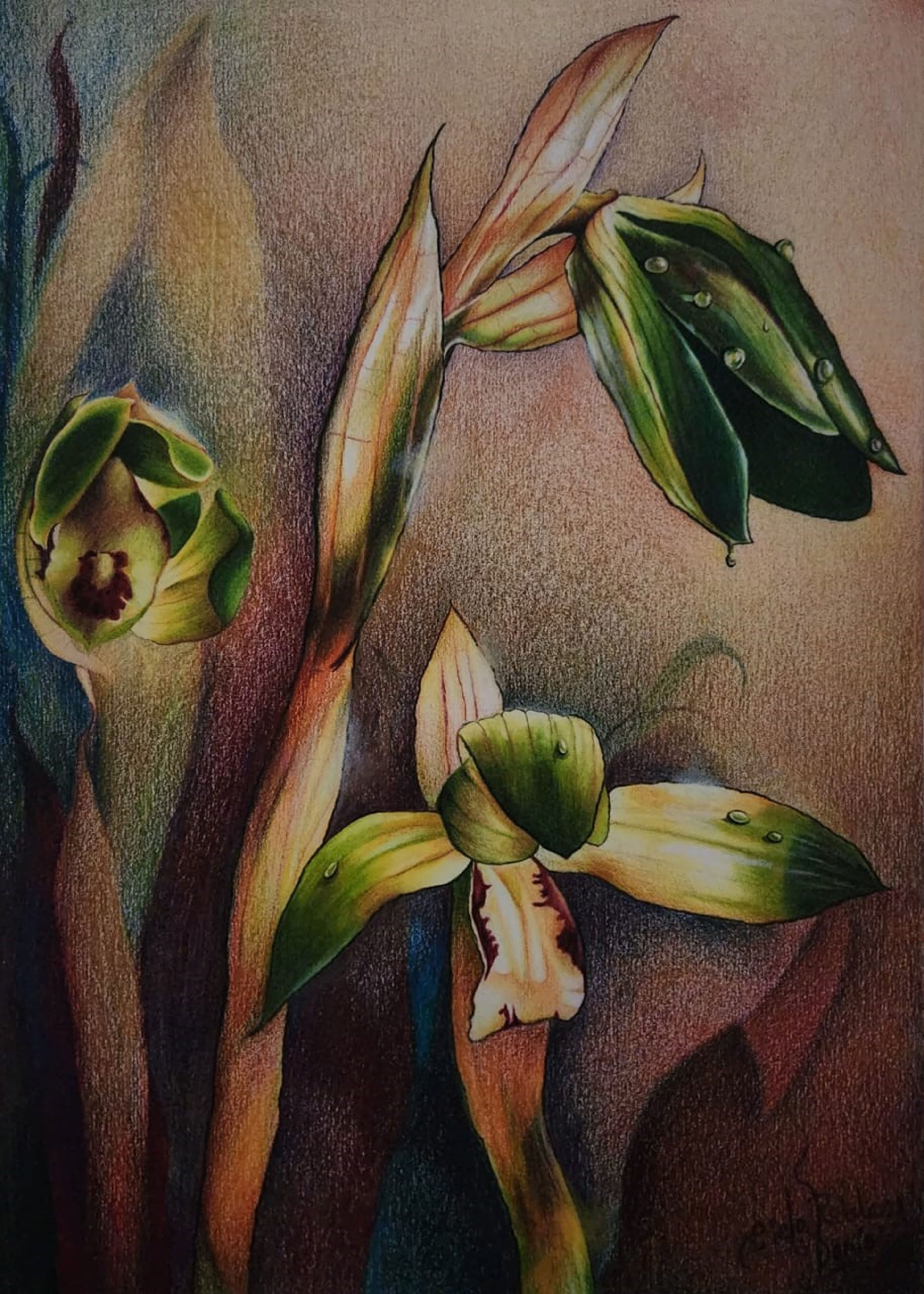 Orquídeas Susurrantes II